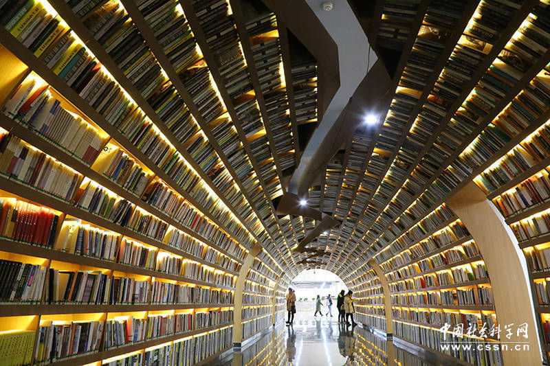 高校图书馆建书海隧道 千册图书环绕